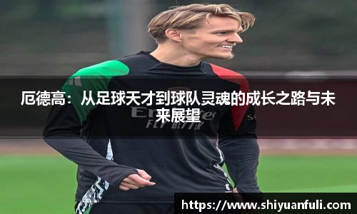 厄德高：从足球天才到球队灵魂的成长之路与未来展望