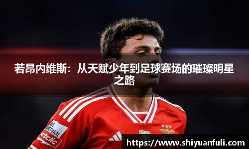 若昂内维斯：从天赋少年到足球赛场的璀璨明星之路