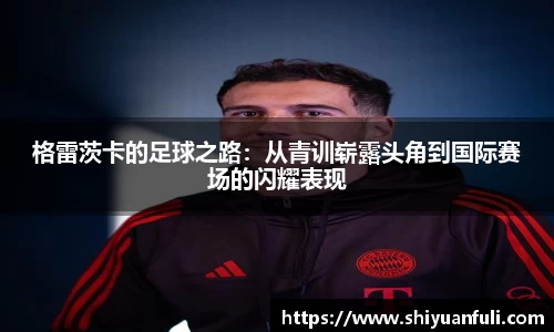 芒果体育直播官网